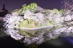 千鳥ヶ淵
