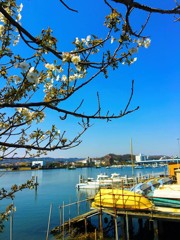 夕照橋　たもと　平潟湾・八景を望む