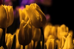 28DA4C08-1477-45A2-8CA2-09915C57E608