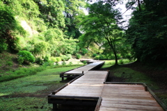 濃溝の滝・亀岩の洞窟