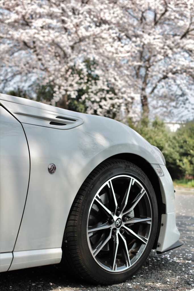 86×桜