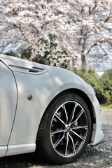 86×桜