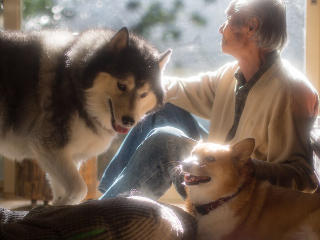 父と犬の風景
