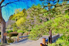 296E7895-C04A-4D15-BC91-F2499912BB40