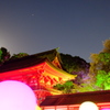下鴨神社を照らす球体