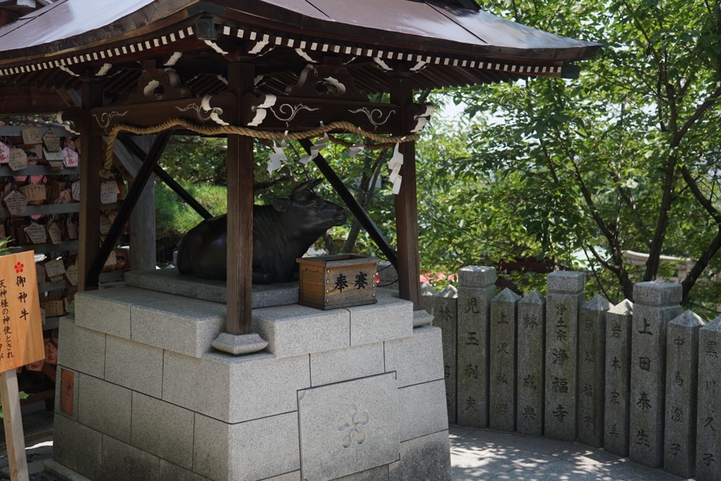 神戸牛？