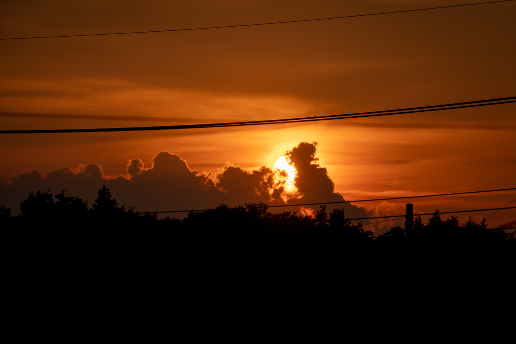 夕日