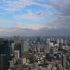 スカイデッキから見た　青い空と雲　そして　東京タワーとスカイツリー。