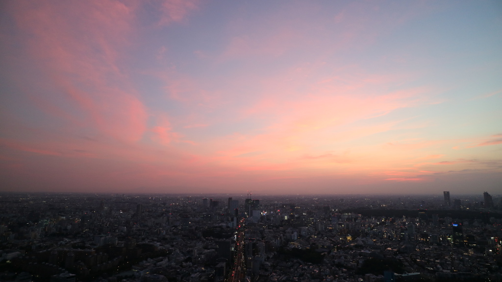 スカイデッキからの夕景