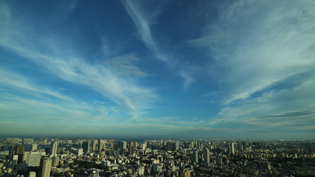 空と雲が綺麗でした。
