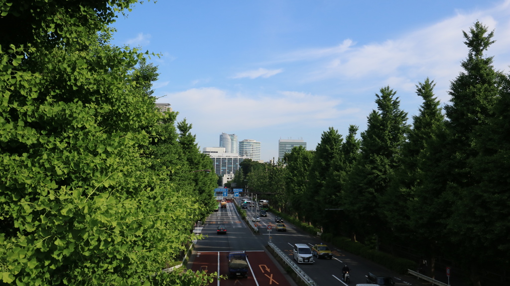 六本木ヒルズ　2