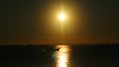 若洲海浜公園の朝陽