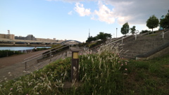 汐入公園からのスカイツリー　2