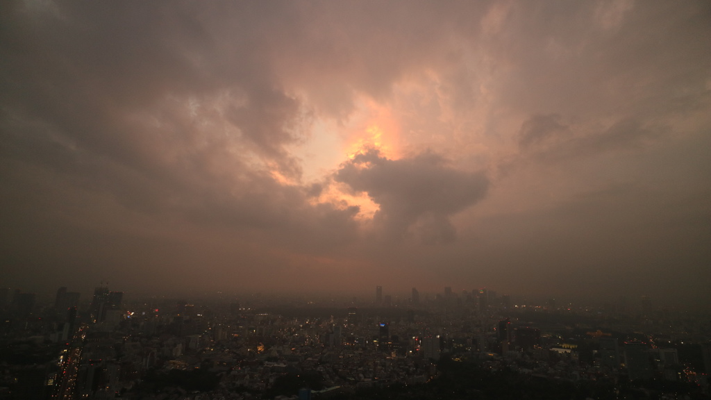 スカイデッキからの夕景