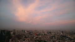 東京タワーの東側にも綺麗なピンク色のそらを見ることができました。
