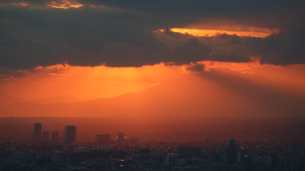 スカイデッキから見た　この日の夕景