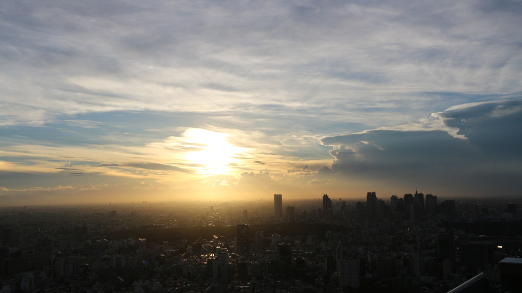 夕陽に照らされる東京の街並み