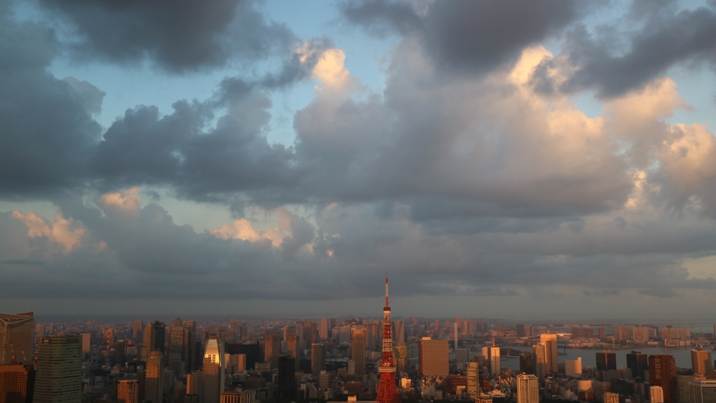 夕日に輝く　東京の街並み　スカイデッキから。