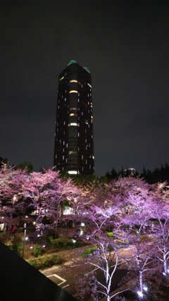 ミッドタウン六本木
