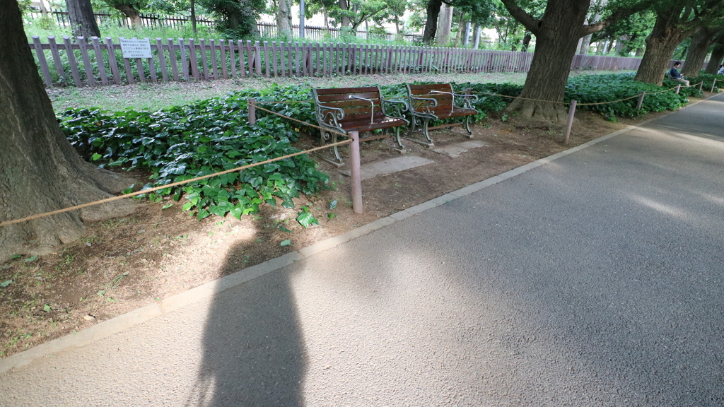 神宮外苑の銀杏並木のベンチ