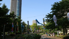 六本木ミッドタウン