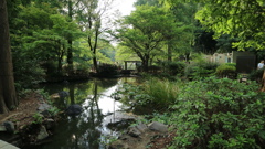 神田川の源流　井の頭公園を訪ねて