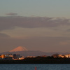 朝日に輝く　富士山
