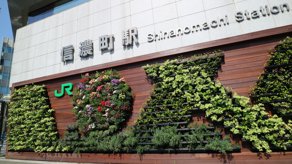 JR信濃町駅の飾られた　花たち。
