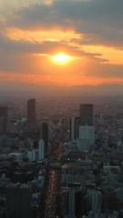 首都高速3号線と夕焼け
