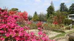石神井公園百景