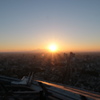 スカイデッキからの夕日