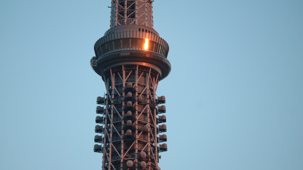 夕焼けに照らされた　スカイツリー2