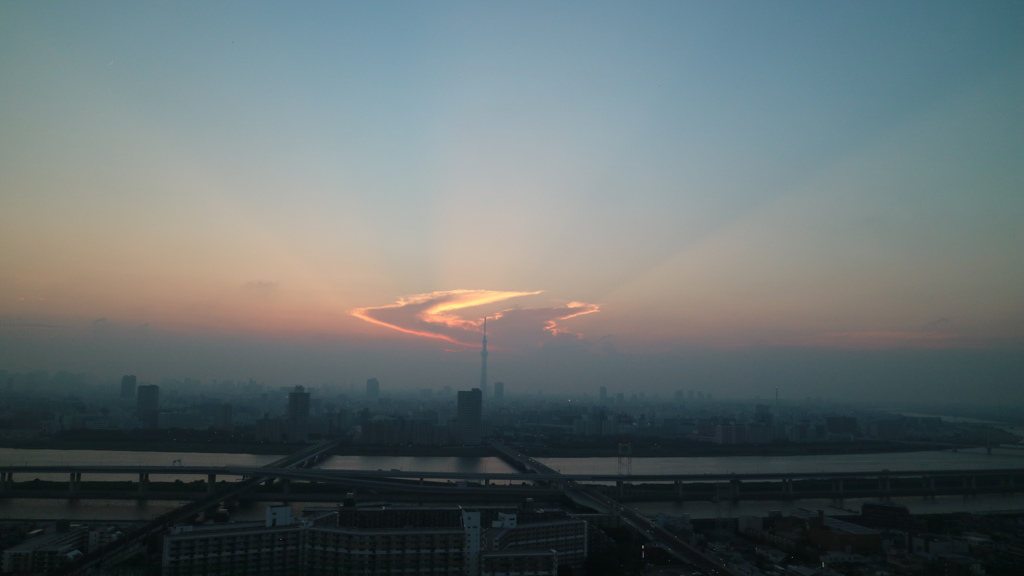 船堀タワーからの夕景
