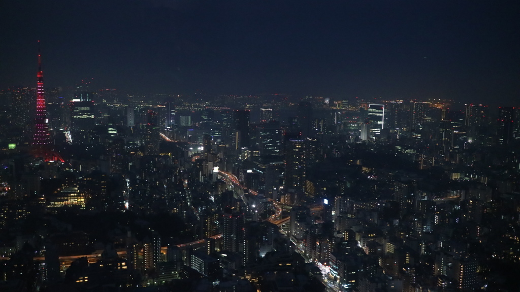 東京シティービュー　雨の夕景