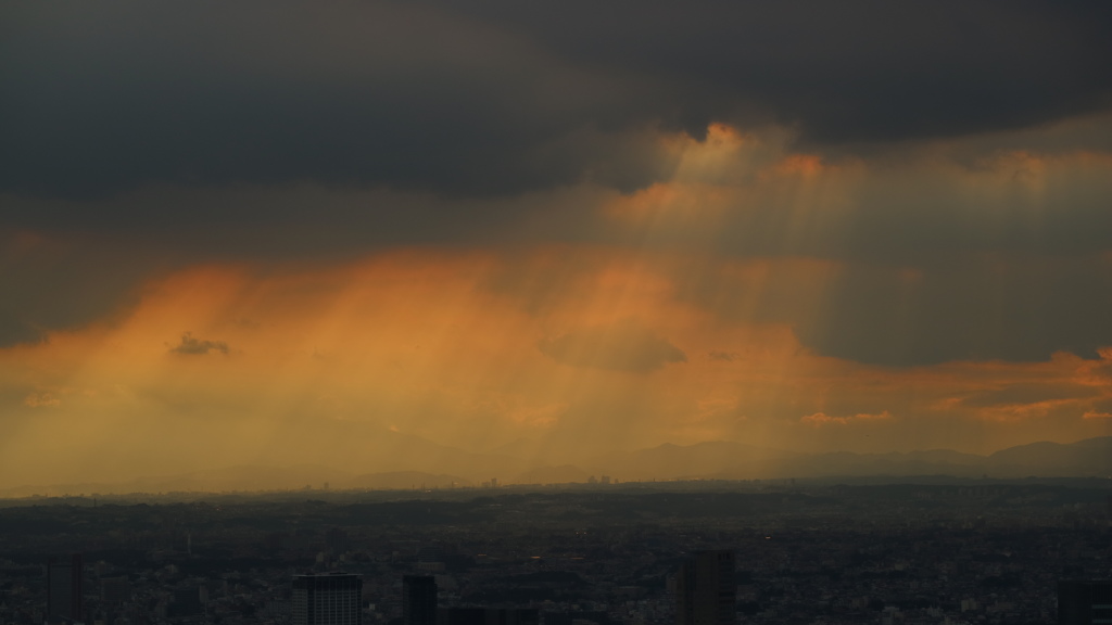 光のシャワー　2