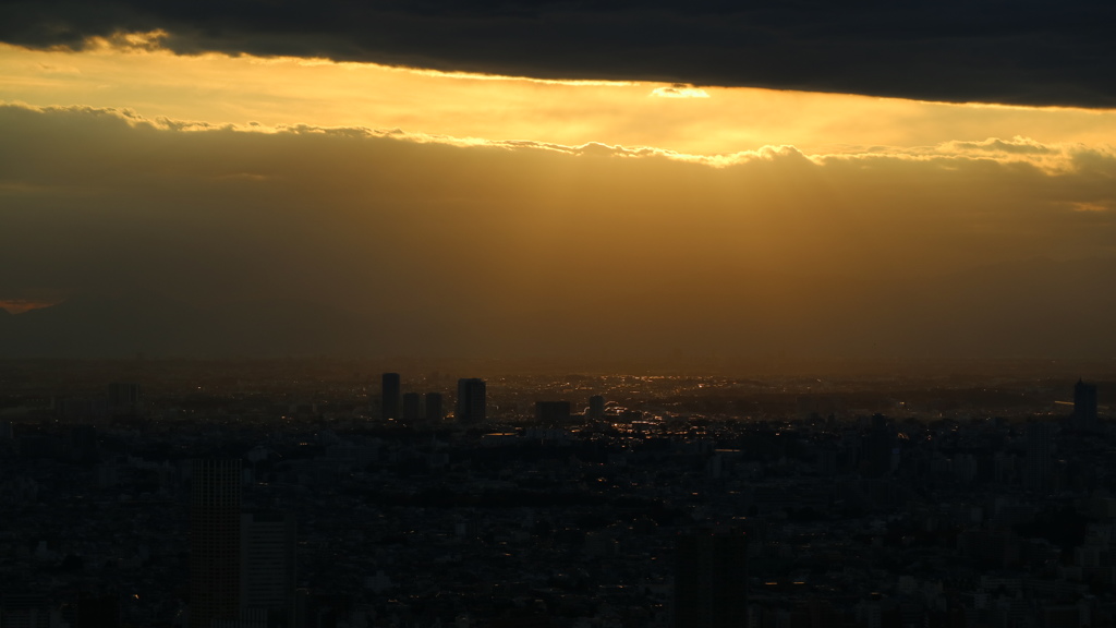 夕日に輝く　東京の街並み