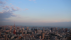 東京タワーと月