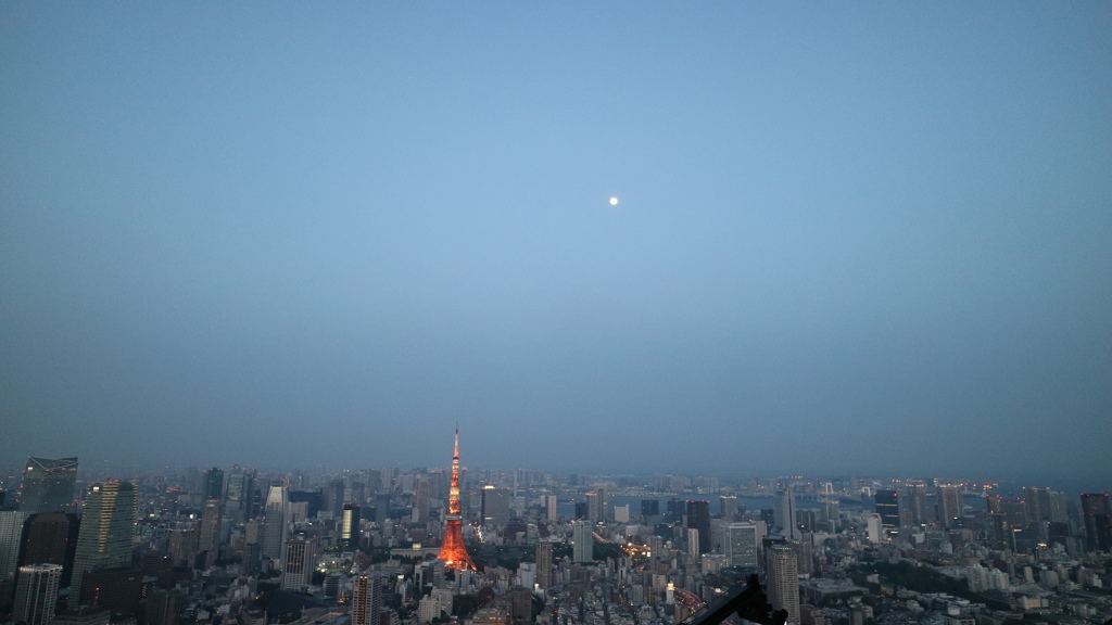 東京タワーと月