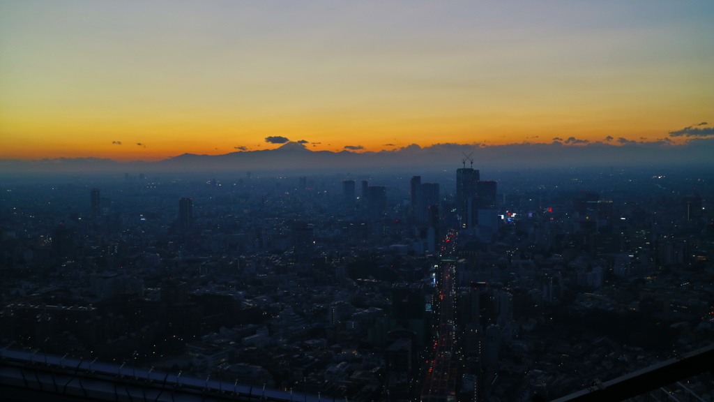 スカイデッキからの夕景