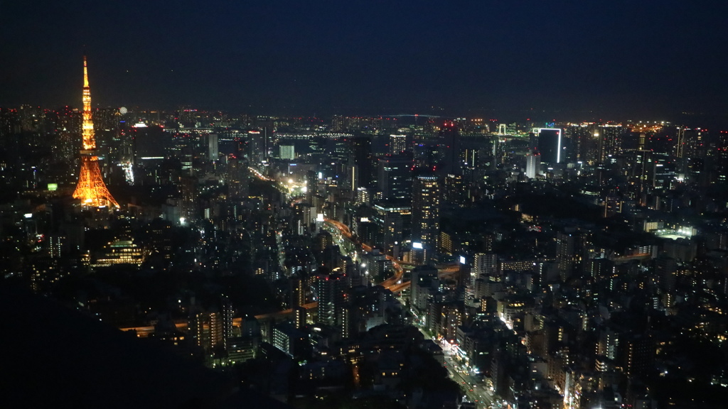 この日　2.018.5.12に見た　東京タワー。