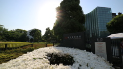 新国立新美術館