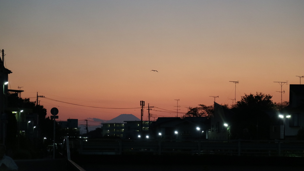 黒目川沿いからの夕焼け空に　富士山がみえました。