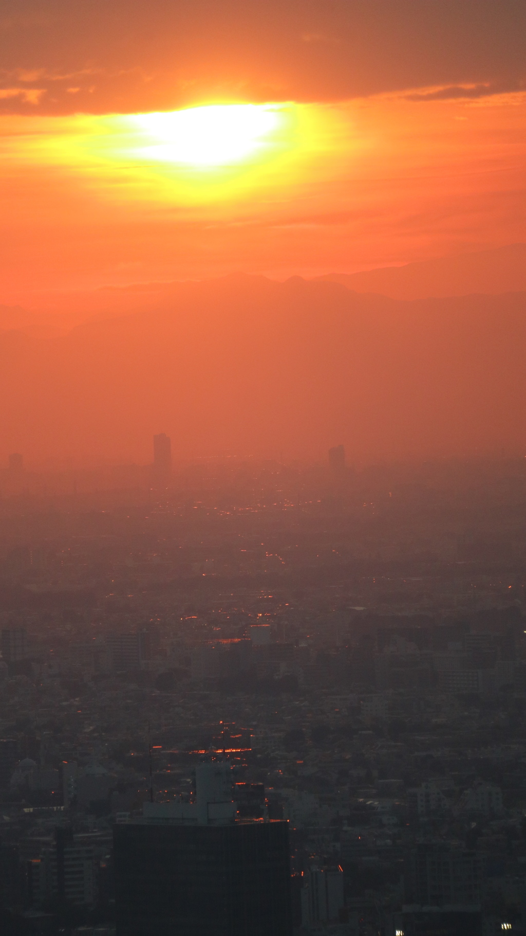 夕陽に照らされた　東京の街