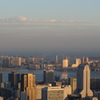 スカイデッキから見た　東京湾と湾岸エリア