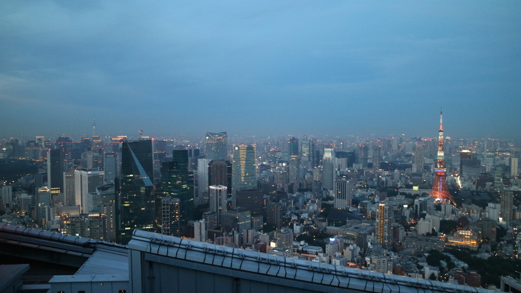 スカイツリーと東京タワー