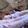 夏の思い出