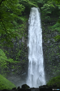 玉簾の滝