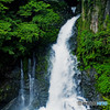 河津大滝 