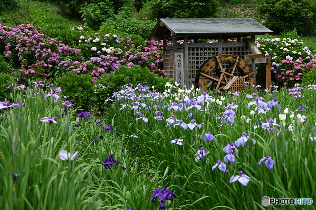 水車小屋