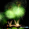 異色の花火が夜空へ